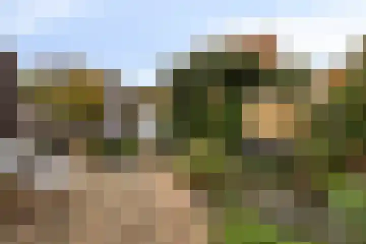 De Loete 22 Pijnacker thumbnail 26