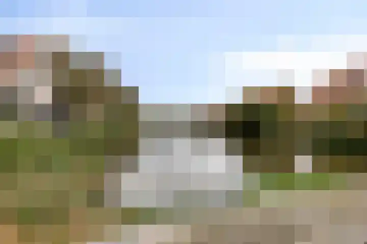 De Loete 22 Pijnacker thumbnail 31