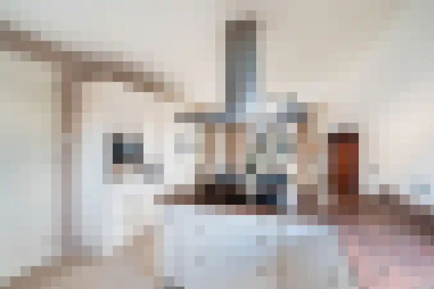 De Loete 29 Pijnacker thumbnail 37