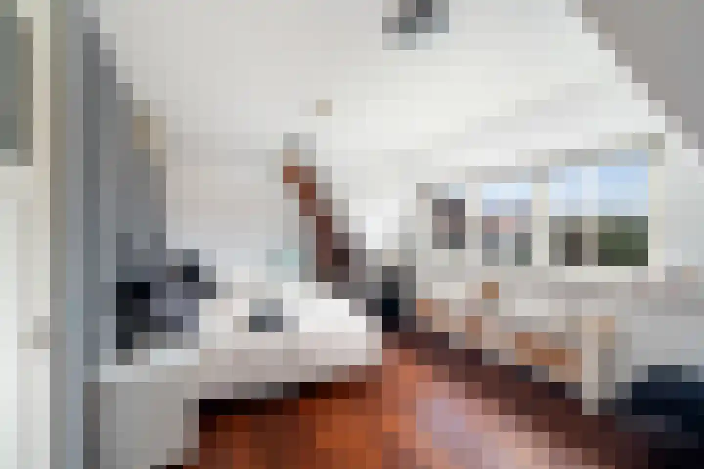 De Loete 29 Pijnacker thumbnail 41