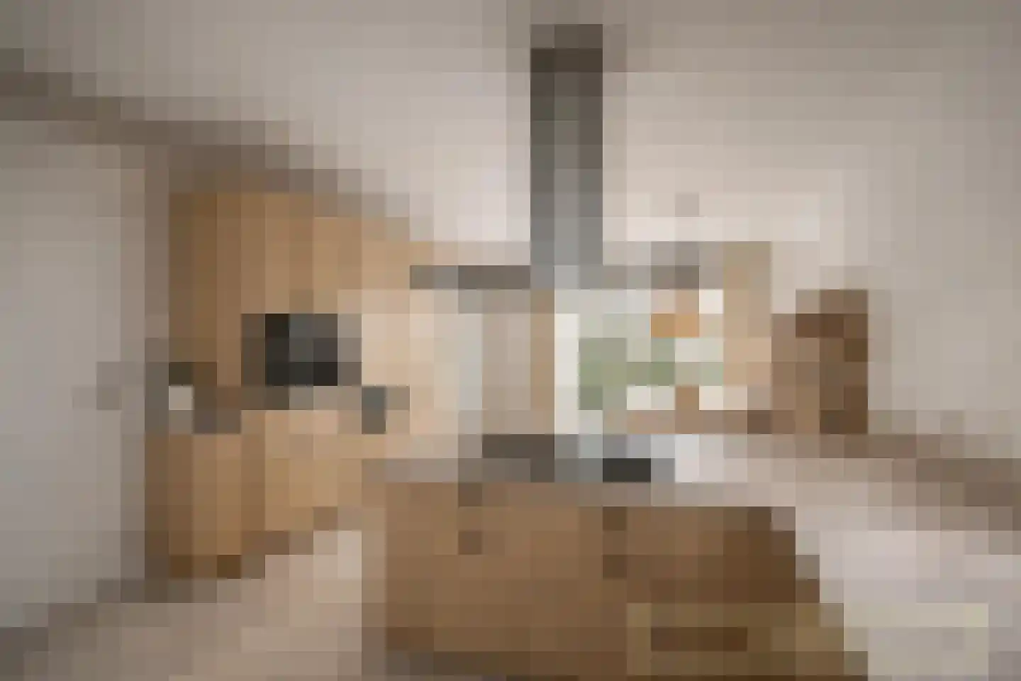 De Loete 29 Pijnacker thumbnail 6