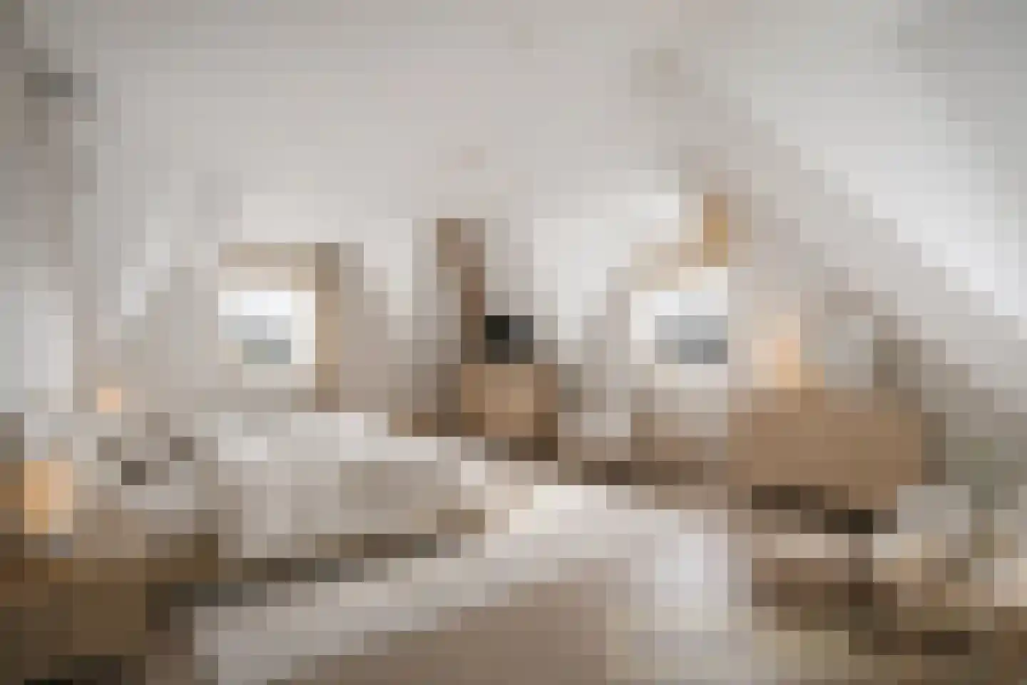 De Loete 29 Pijnacker thumbnail 8