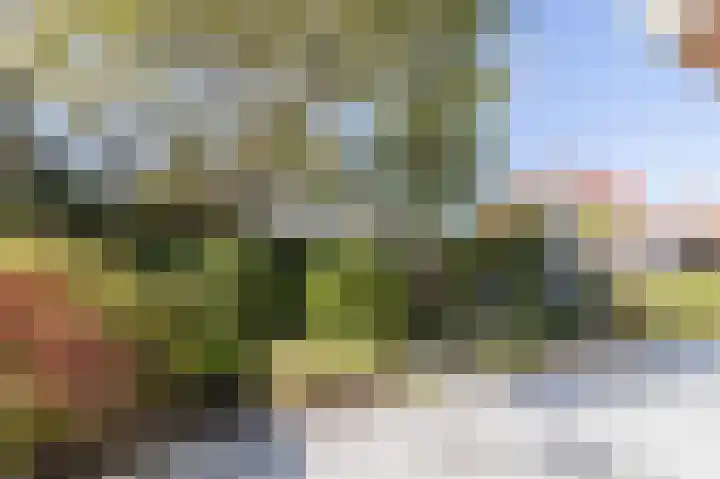 De Loete 30 Pijnacker thumbnail 54