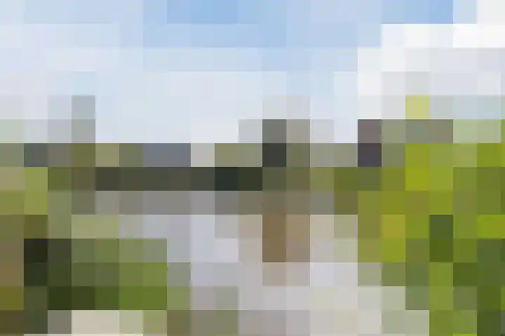 De Loete 30 Pijnacker thumbnail 61