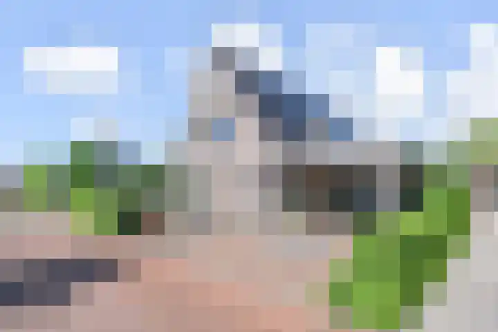 De Loete 52 in Pijnacker