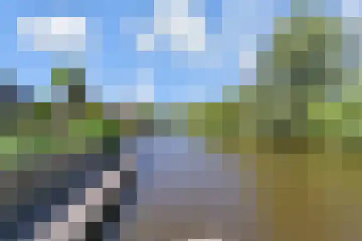 De Loete 52 Pijnacker thumbnail 39