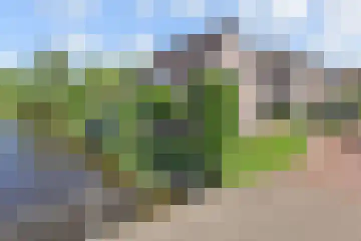De Loete 52 Pijnacker thumbnail 51