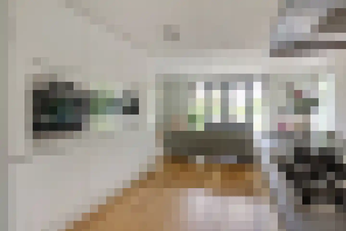 De Loete 7 Pijnacker thumbnail 14