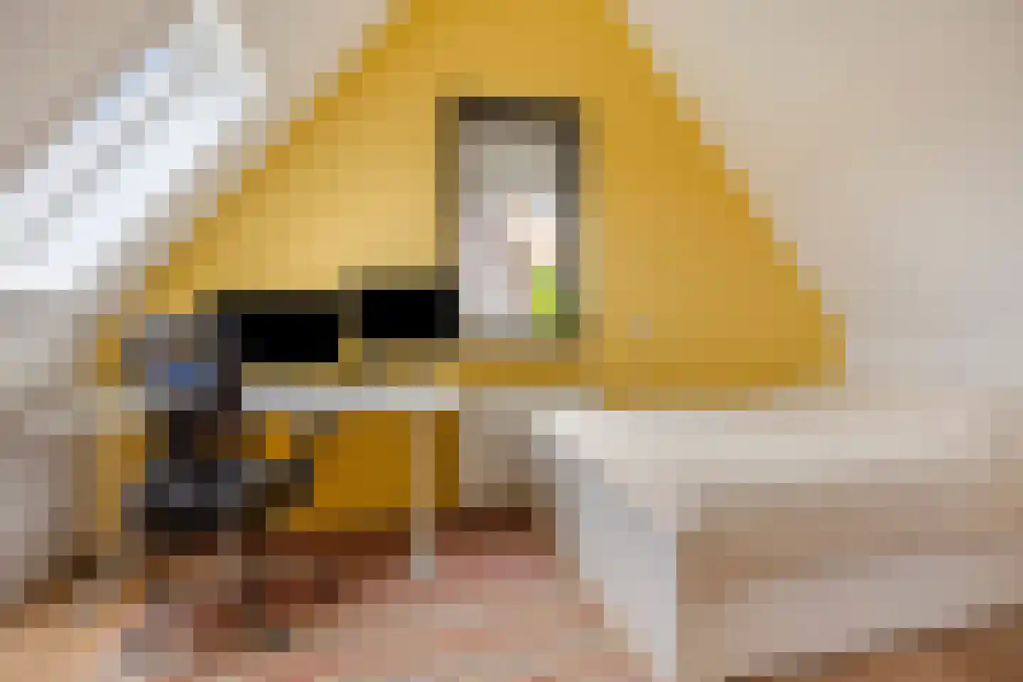 De Loete 7 Pijnacker thumbnail 28