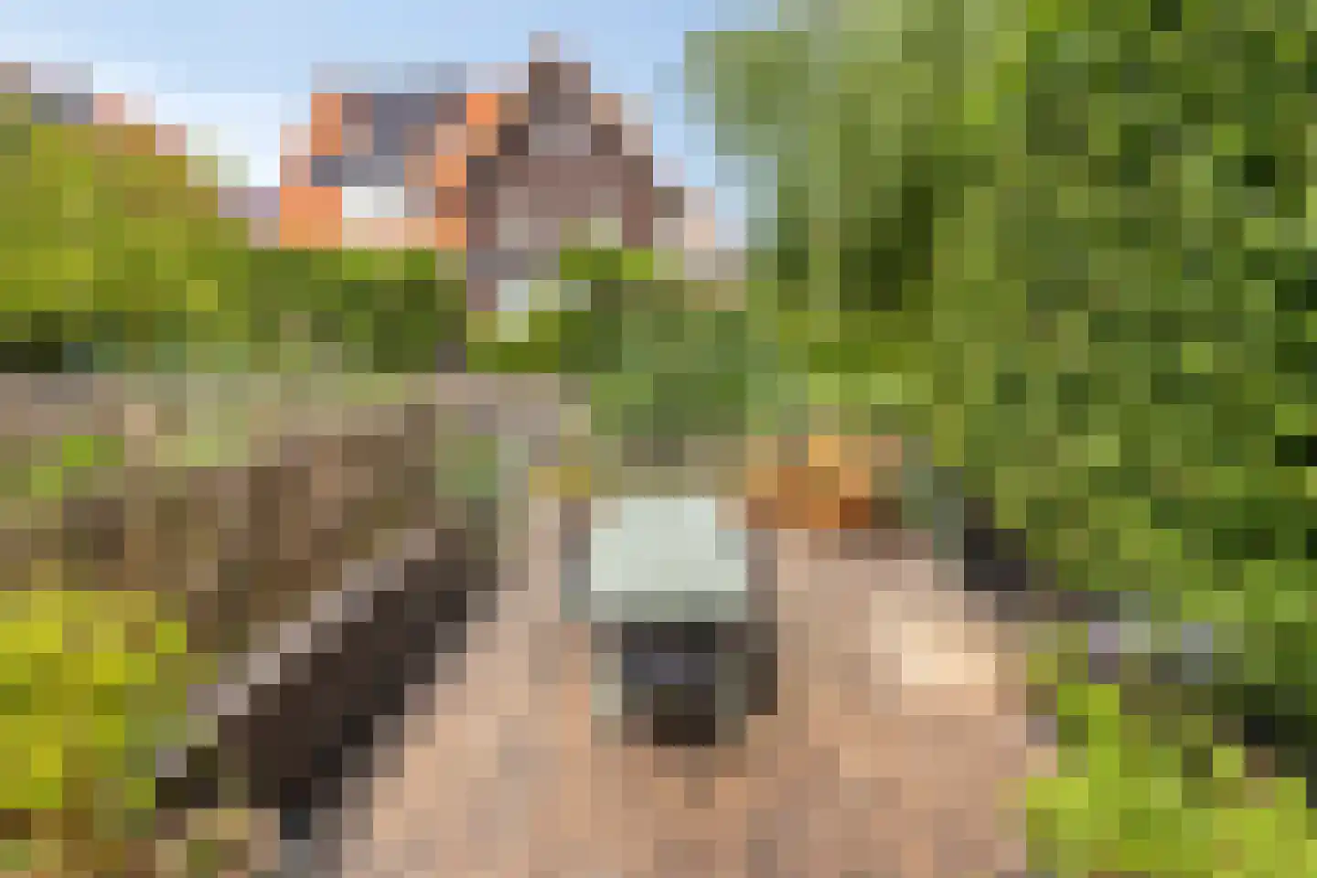 De Loete 7 Pijnacker thumbnail 32