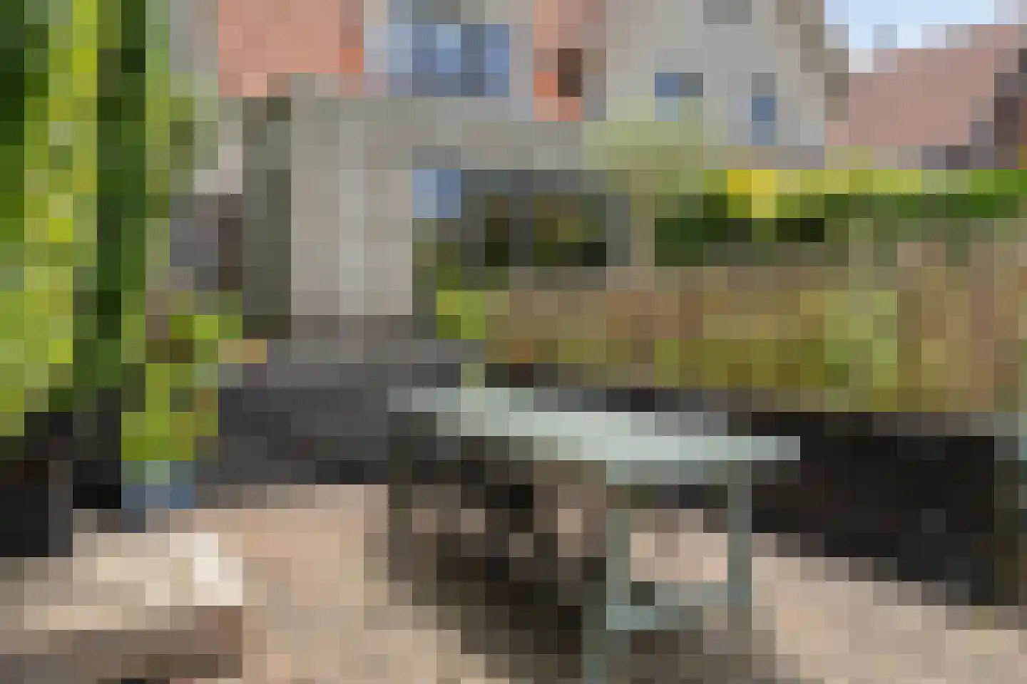De Loete 7 Pijnacker thumbnail 33