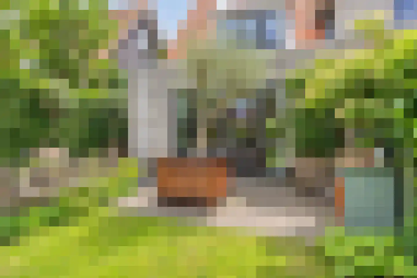 De Loete 7 Pijnacker thumbnail 35