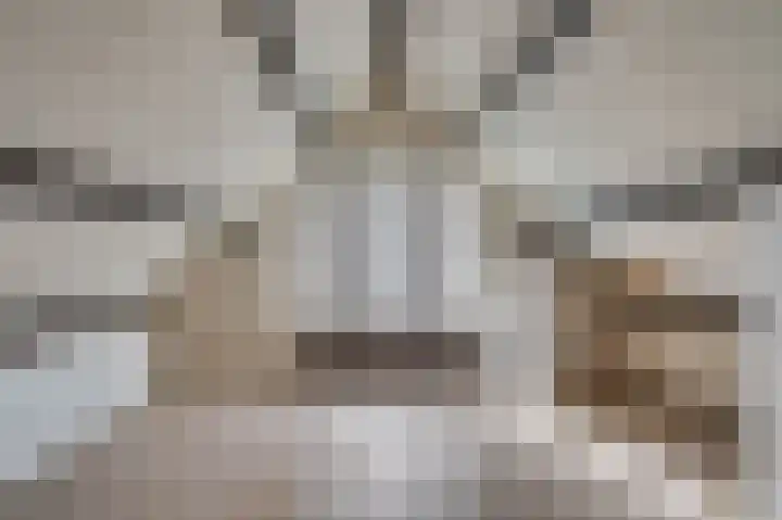 De Lom de Berghlaan 21 Lottum thumbnail 22