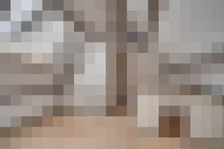 De Lom de Berghlaan 21 Lottum thumbnail 24