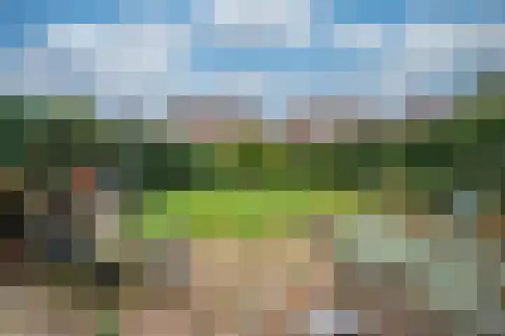 De Lom de Berghlaan 21 Lottum thumbnail 28
