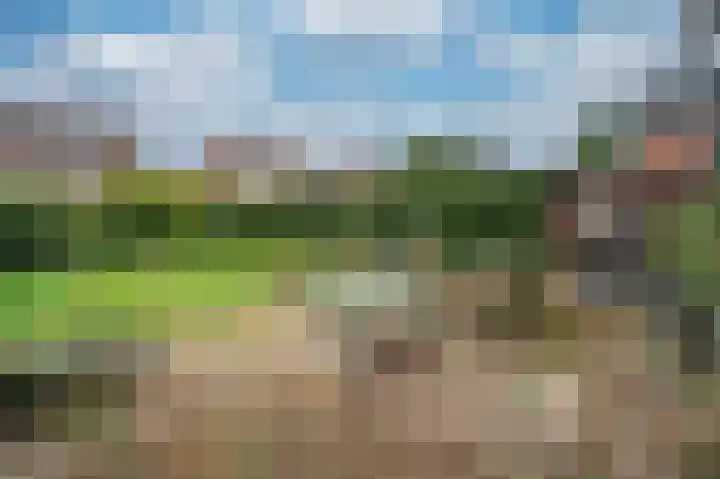 De Lom de Berghlaan 21 Lottum thumbnail 29