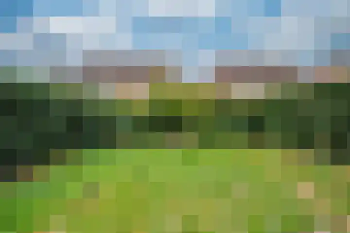 De Lom de Berghlaan 21 Lottum thumbnail 30