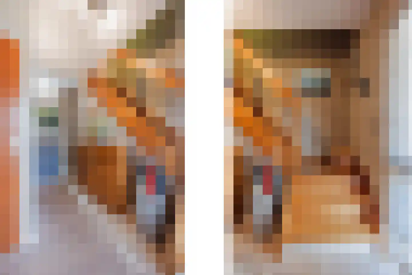 De Lom de Berghlaan 31 Lottum thumbnail 10