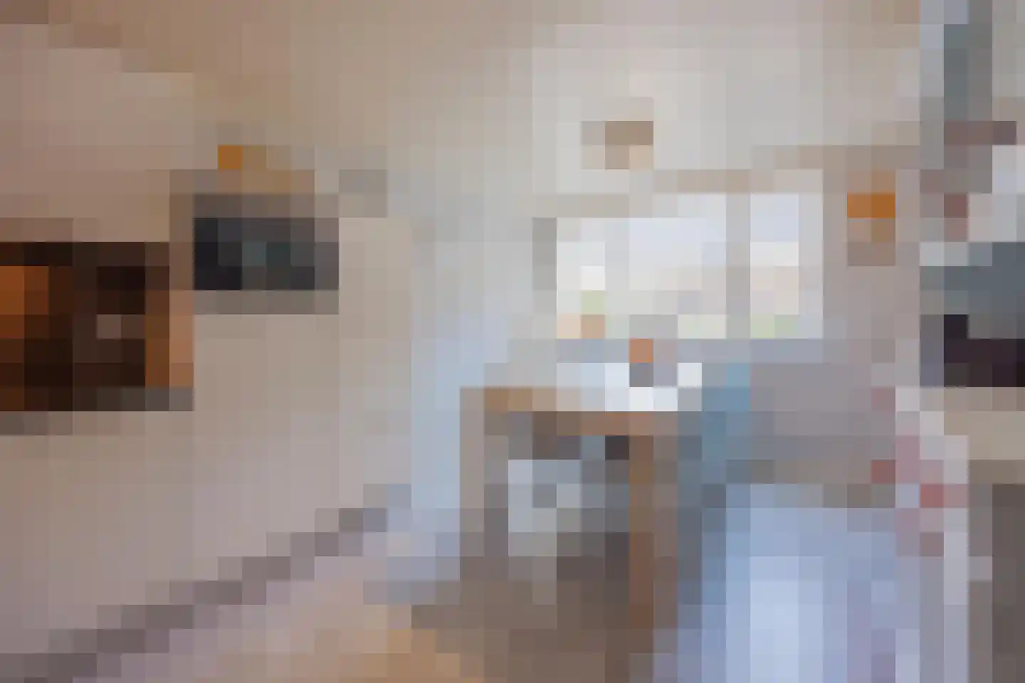 De Lom de Berghlaan 31 Lottum thumbnail 20