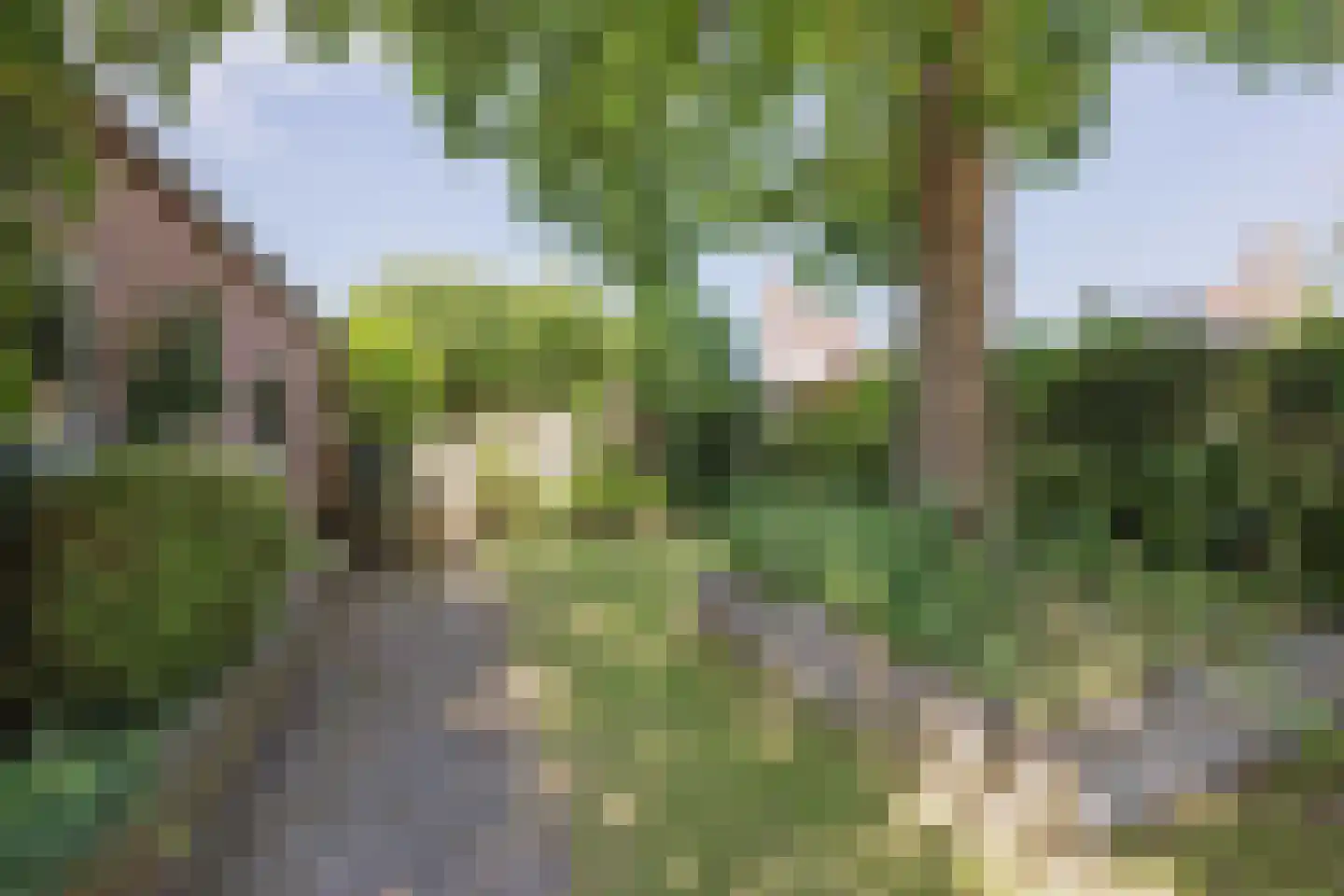 De Lom de Berghlaan 31 Lottum thumbnail 43