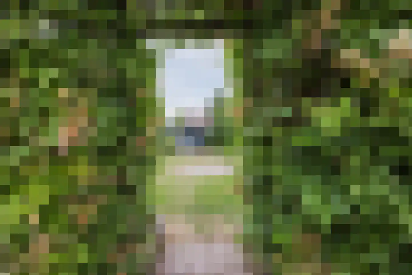 De Lom de Berghlaan 52 Lottum thumbnail 38