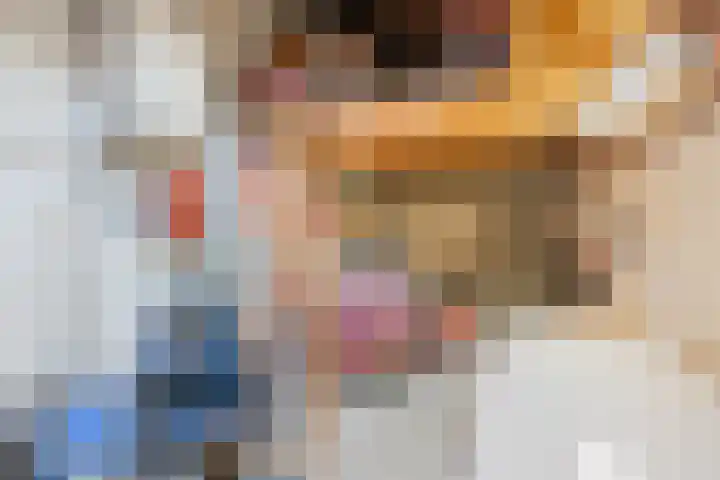 de Loo 120 Mierlo thumbnail 10
