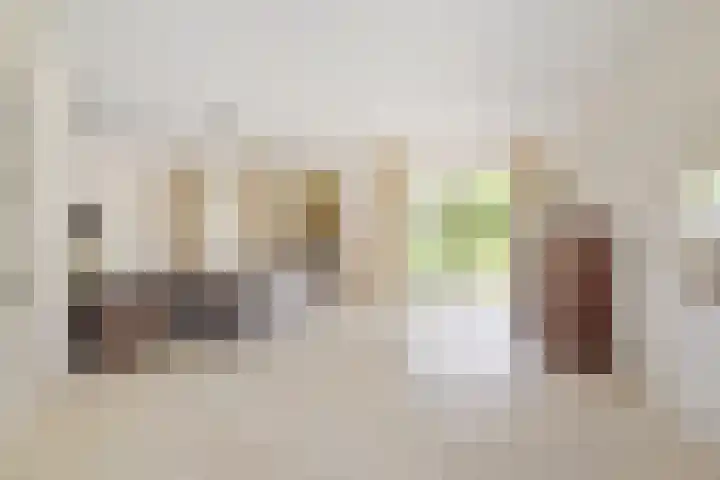 de Loo 120 Mierlo thumbnail 10