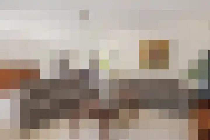 de Loo 120 Mierlo thumbnail 13