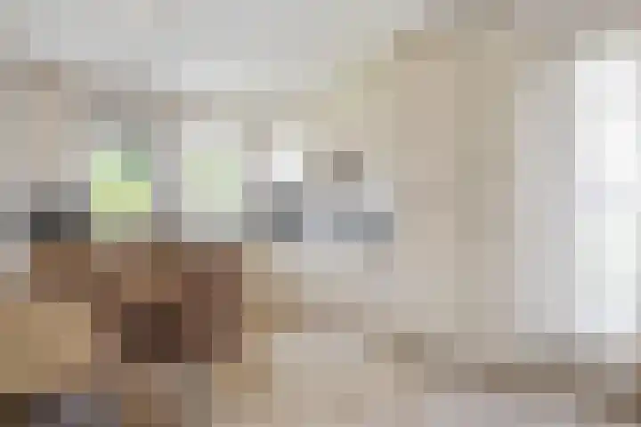 de Loo 120 Mierlo thumbnail 14