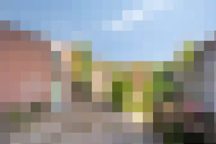 de Loo 120 Mierlo thumbnail 17