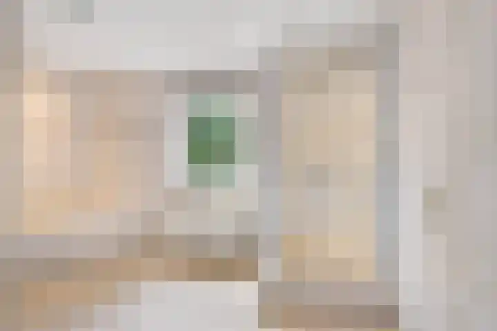 de Loo 120 Mierlo thumbnail 18
