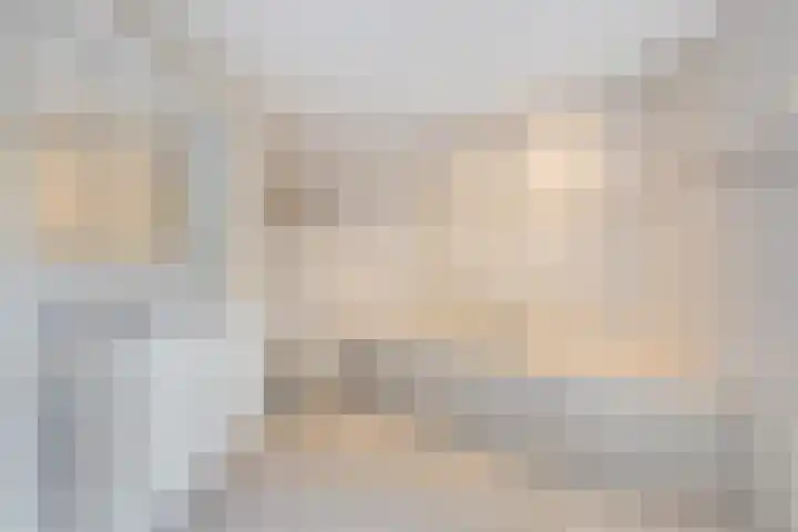 de Loo 120 Mierlo thumbnail 19