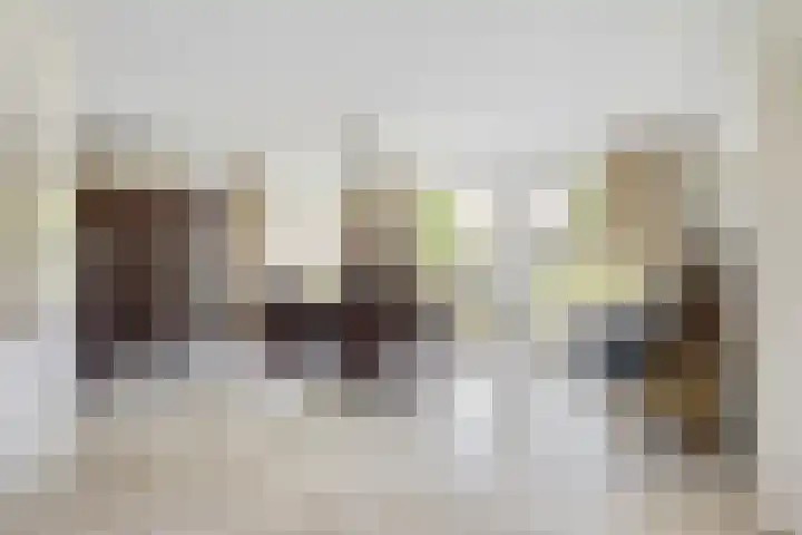 de Loo 120 Mierlo foto 2