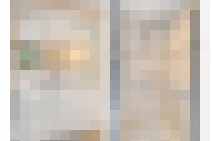 de Loo 120 Mierlo thumbnail 20