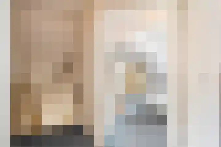 de Loo 120 Mierlo thumbnail 21