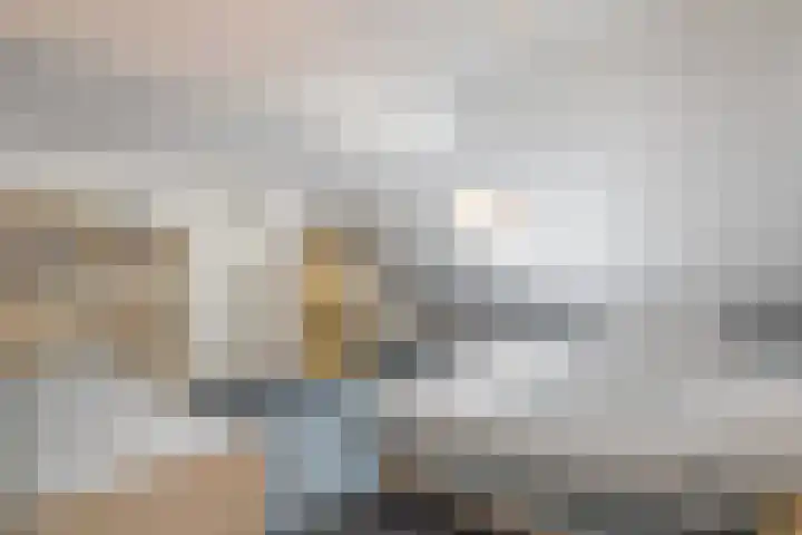 de Loo 120 Mierlo thumbnail 26