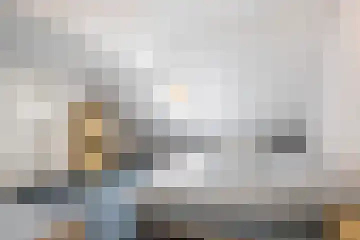 de Loo 120 Mierlo thumbnail 27