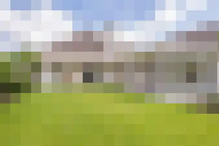 de Loo 120 Mierlo foto 3