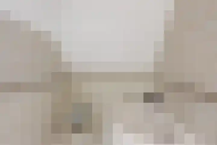 de Loo 120 Mierlo thumbnail 30