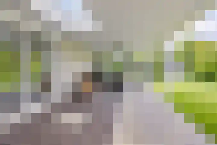 de Loo 120 Mierlo thumbnail 32