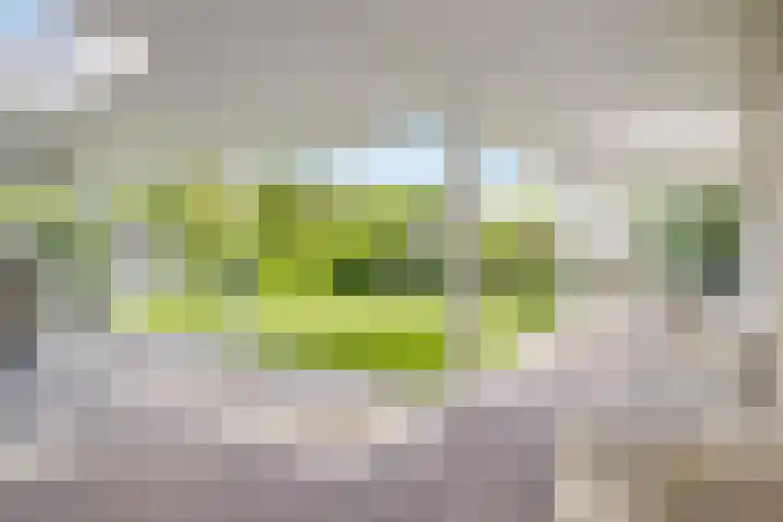 de Loo 120 Mierlo thumbnail 34