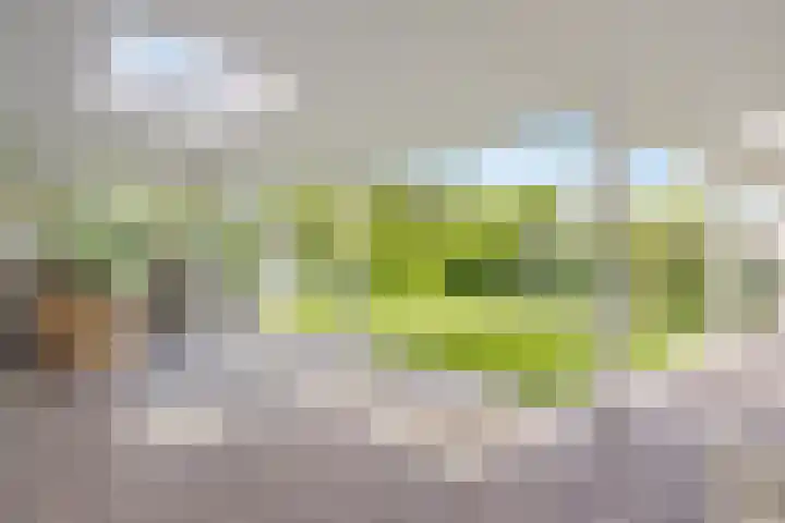 de Loo 120 Mierlo thumbnail 35
