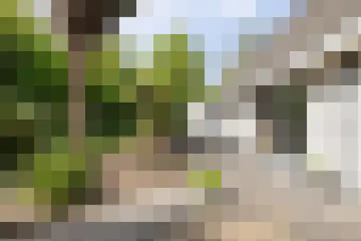 de Loo 120 Mierlo thumbnail 36
