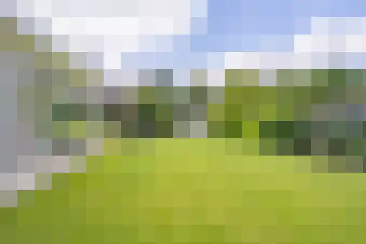 de Loo 120 Mierlo thumbnail 36