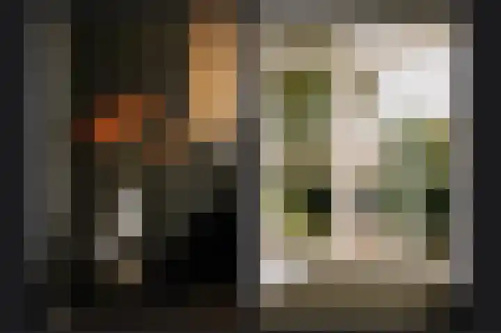 de Loo 120 Mierlo thumbnail 37