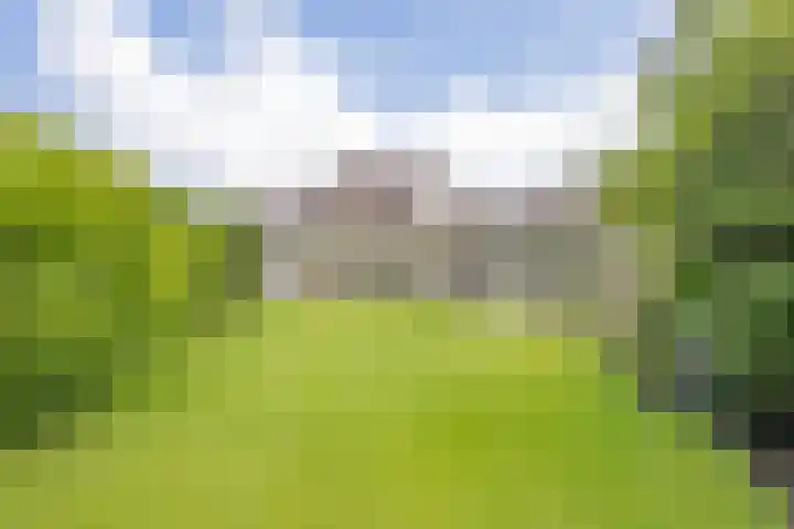de Loo 120 Mierlo thumbnail 37
