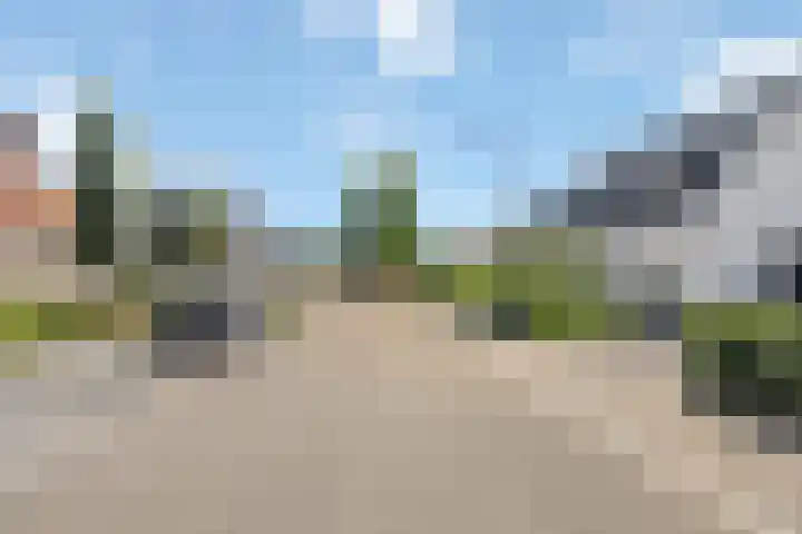de Loo 120 Mierlo thumbnail 38