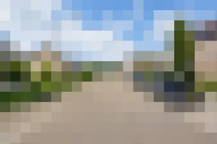 de Loo 120 Mierlo thumbnail 39