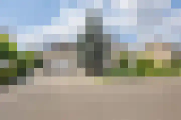 de Loo 120 Mierlo thumbnail 4