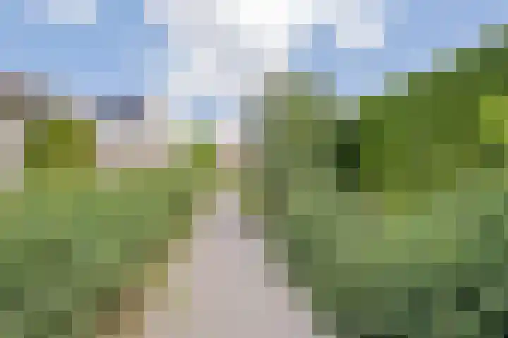 de Loo 120 Mierlo thumbnail 40